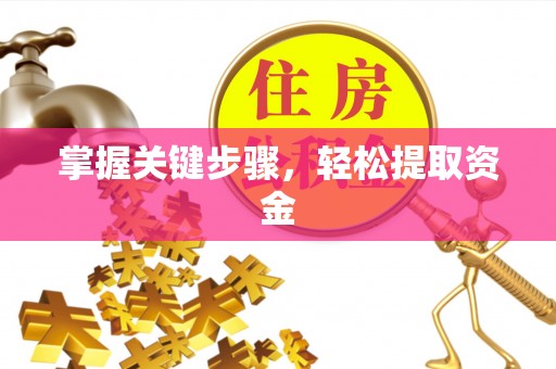 郑州掌握关键步骤，轻松提取资金