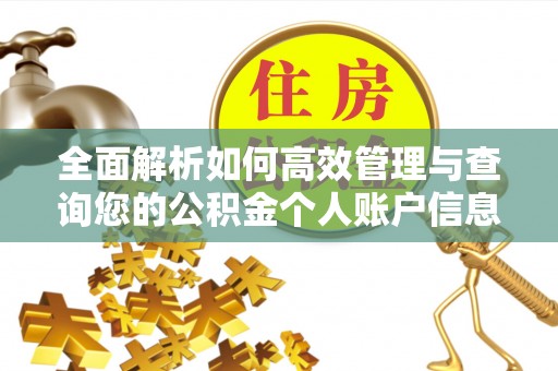 郑州全面解析如何高效管理与查询您的公积金个人账户信息