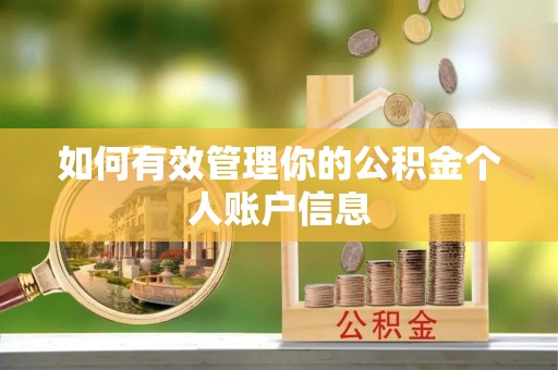 郑州如何有效管理你的公积金个人账户信息