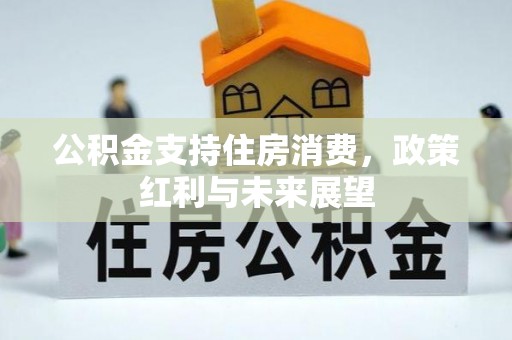 郑州公积金支持住房消费，政策红利与未来展望
