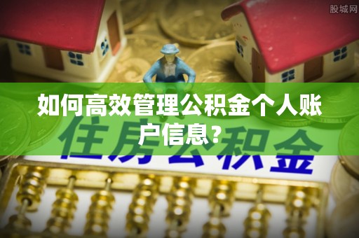 郑州如何高效管理公积金个人账户信息？