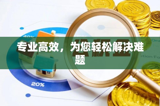 郑州专业高效，为您轻松解决难题