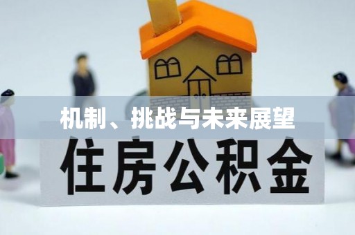 郑州机制、挑战与未来展望